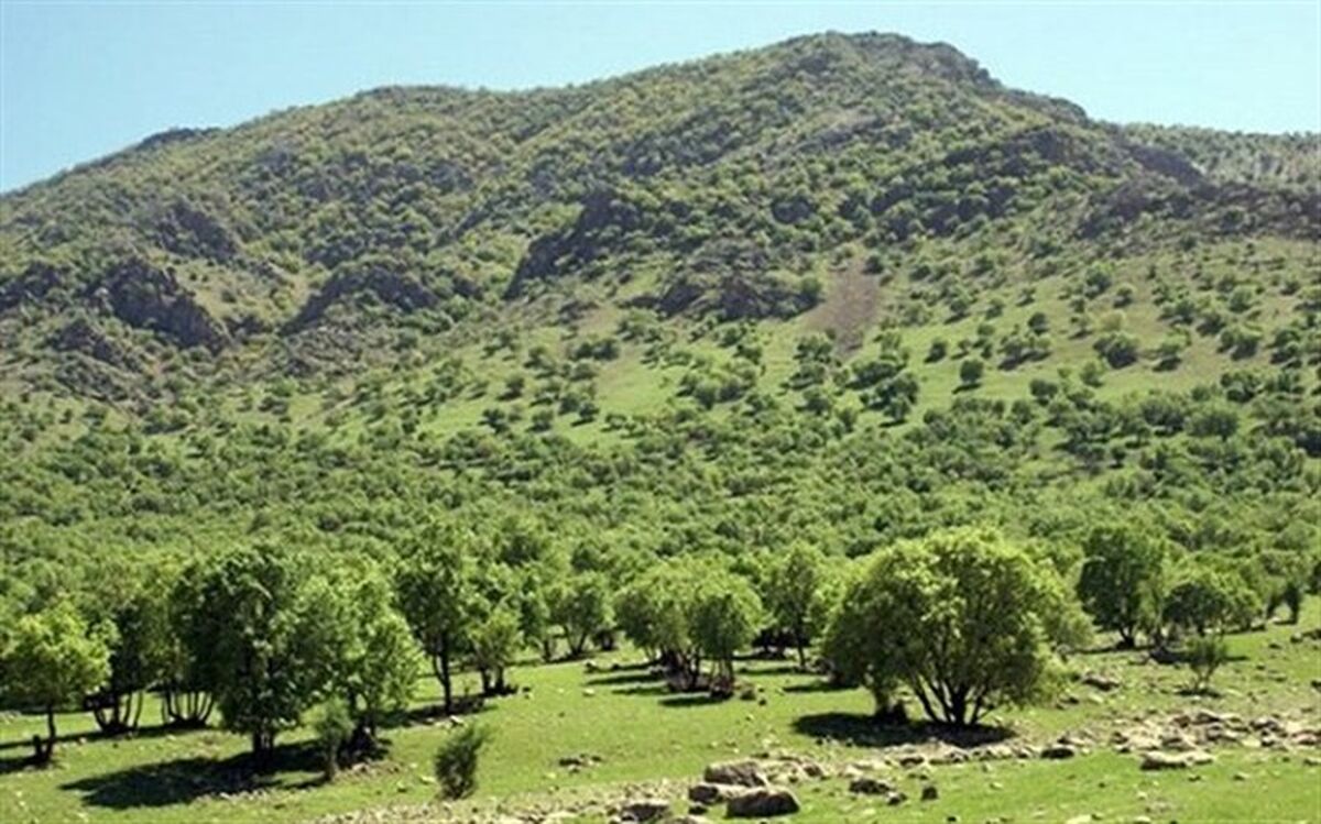 ۲۵۰۰ میلیارد تومان، متوسط خسارت سالانه وقوع سیل به کشور