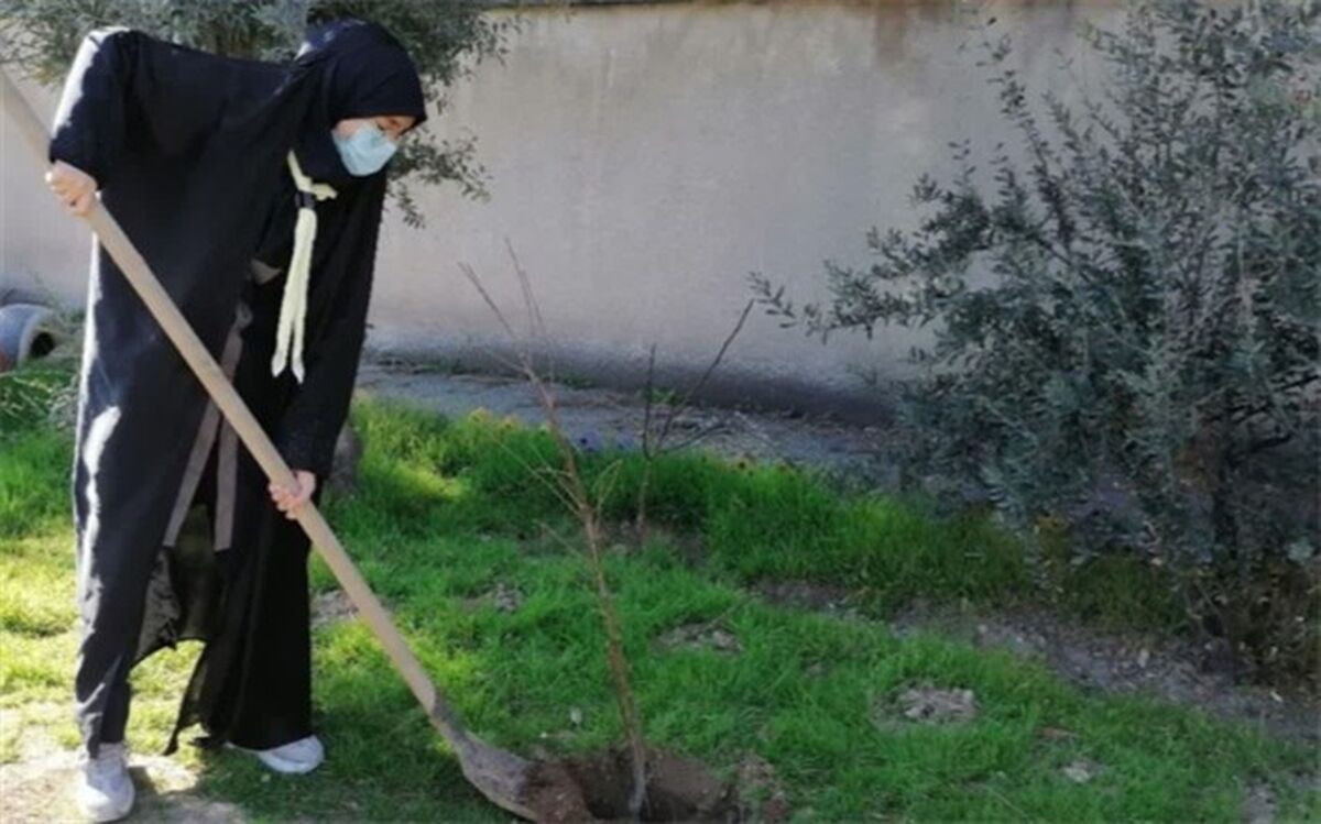 کاشت نهال سبز در آموزش و پرورش ناحیه دو شهر ری