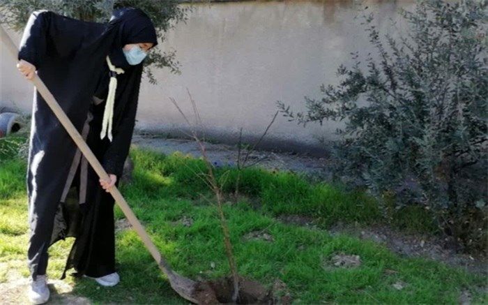 کاشت نهال سبز در آموزش و پرورش ناحیه دو شهر ری