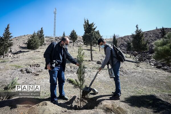 بازدید از بازسازی پل تاریخی کن