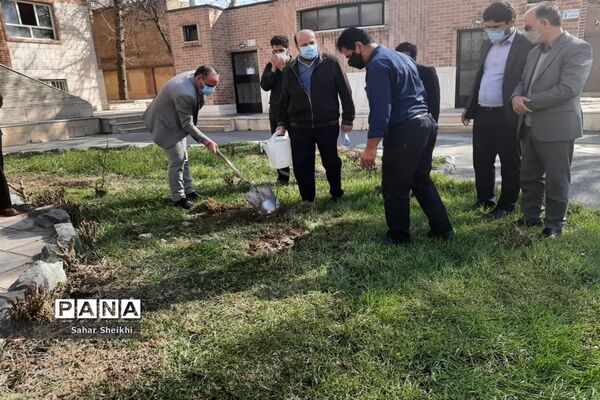 آیین درختکاری در آموزش و پرورش ملارد