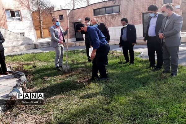 آیین درختکاری در آموزش و پرورش ملارد