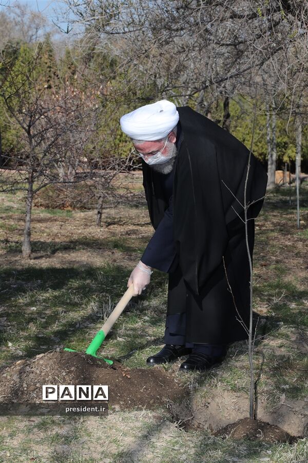 مراسم روز ملی درختکاری