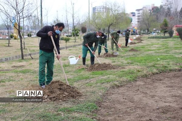 کاشت نهال به یاد زنان شهید، جانباز و آزاده مازندران
