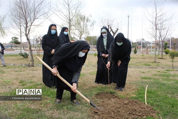 کاشت نهال به یاد زنان شهید، جانباز و آزاده مازندران