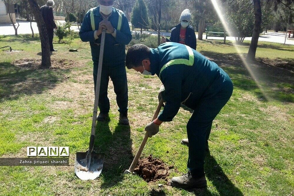 اهدای  رایگان نهال در بوستان‌های خاورشهر به مناسبت جشن تولد زمین