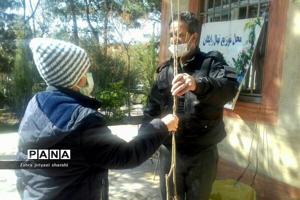 اهدای  رایگان نهال در بوستان‌های خاورشهر به مناسبت جشن تولد زمین