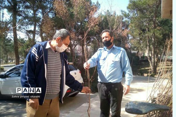 اهدای  رایگان نهال در بوستان‌های خاورشهر به مناسبت جشن تولد زمین