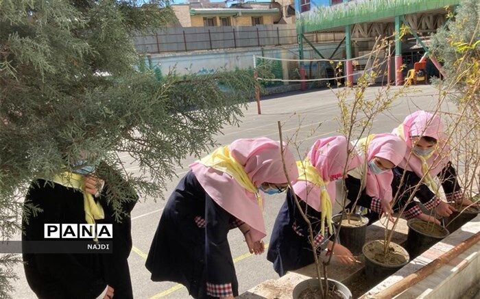 مشارکت  پیشتازان در کاشت نهال نمونه ای عملی از اجرای منش های  ارزنده  سازمان دانش آموزی است