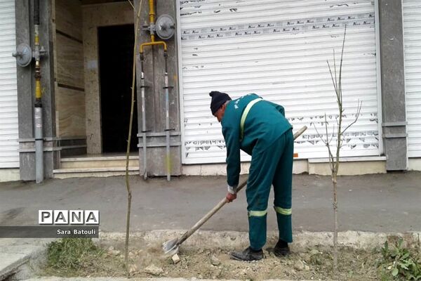 روز درختکاری در منطقه 18 شهر تهران