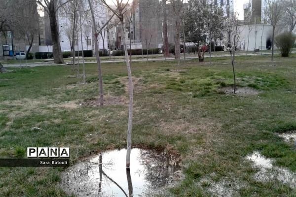 روز درختکاری در منطقه 18 شهر تهران