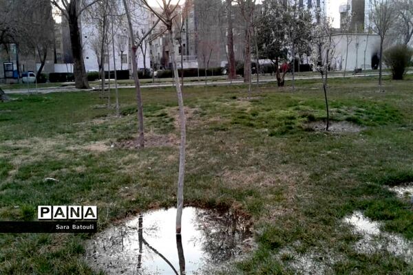 روز درختکاری در منطقه 18 شهر تهران