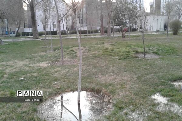روز درختکاری در منطقه 18 شهر تهران