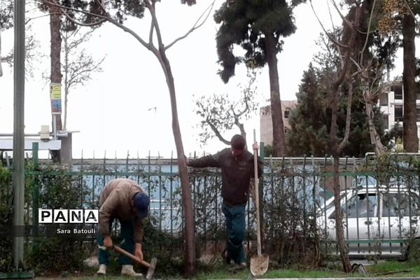 روز درختکاری در منطقه 18 شهر تهران