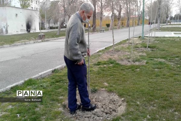 روز درختکاری در منطقه 18 شهر تهران