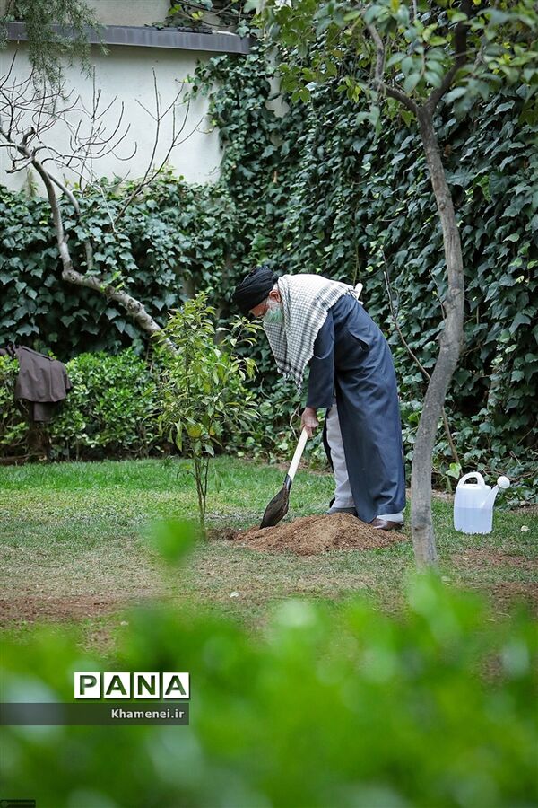 کاشت دو نهال میوه در روز درختکاری توسط رهبر انقلاب
