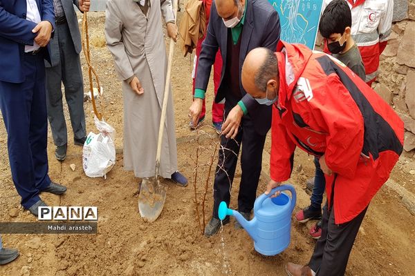 روزدرختکاری در شهرستان خوسف استان خراسان جنوبی