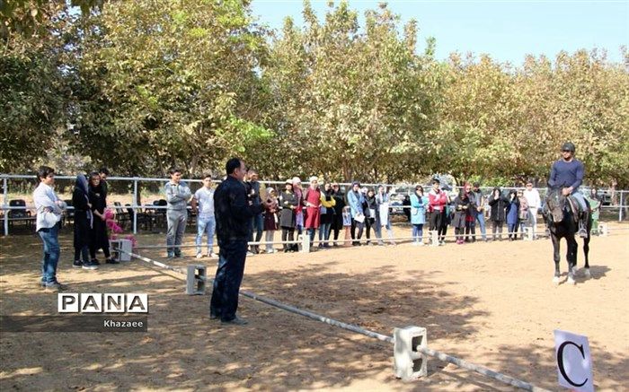 سوارکاری باعث ایجاد اعتماد به‌نفس در سوارکار می‌شود