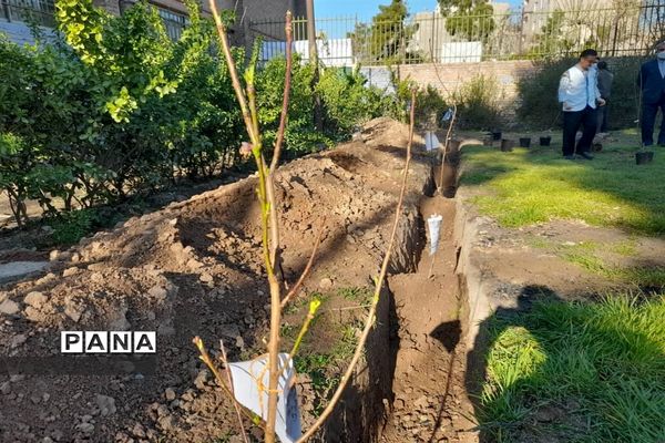 مراسم کاشت 66 درخت به یاد 66 شهید هنرستان ماندگار ایثار شریعتی منطقه 16