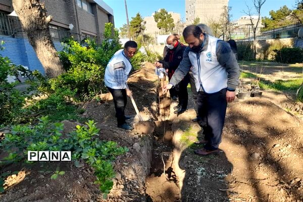 مراسم کاشت 66 درخت به یاد 66 شهید هنرستان ماندگار ایثار شریعتی منطقه 16