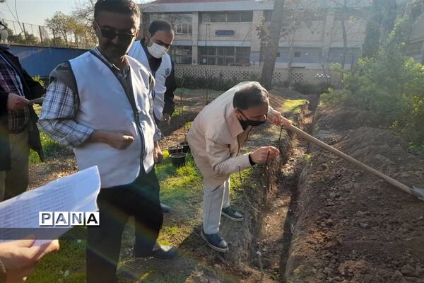 مراسم کاشت 66 درخت به یاد 66 شهید هنرستان ماندگار ایثار شریعتی منطقه 16