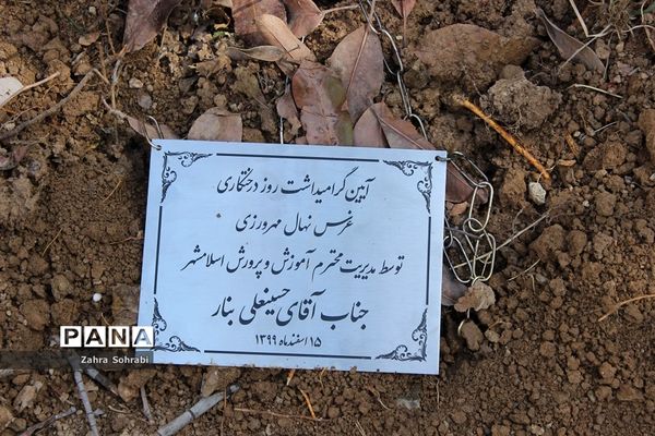 آیین کاشت درخت در آموزش و پرورش اسلامشهر