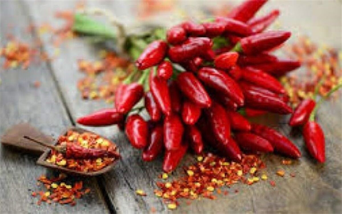 فلفل تند از سرطان ریه جلوگیری می‌کند