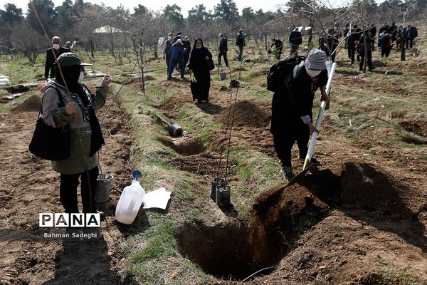 کاشت 1000 اصله نهال در روز درختکاری