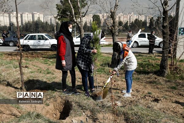 کاشت 1000 اصله نهال در روز درختکاری