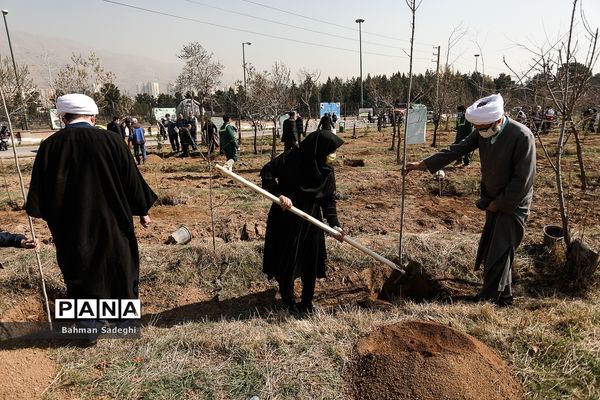 کاشت 1000 اصله نهال در روز درختکاری