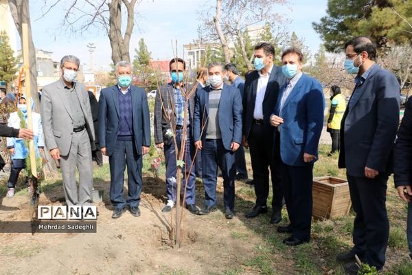 همایش استانی درختکاری توسط دانش آموزان ساعی در طرح ملی کوچ