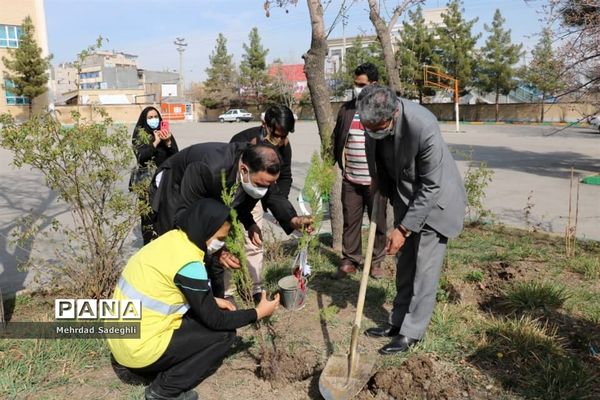 همایش استانی درختکاری توسط دانش آموزان ساعی در طرح ملی کوچ