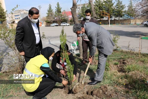 همایش استانی درختکاری توسط دانش آموزان ساعی در طرح ملی کوچ