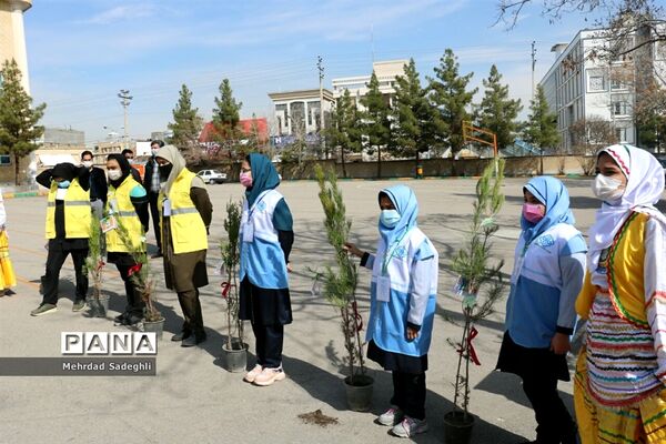 همایش استانی درختکاری توسط دانش آموزان ساعی در طرح ملی کوچ