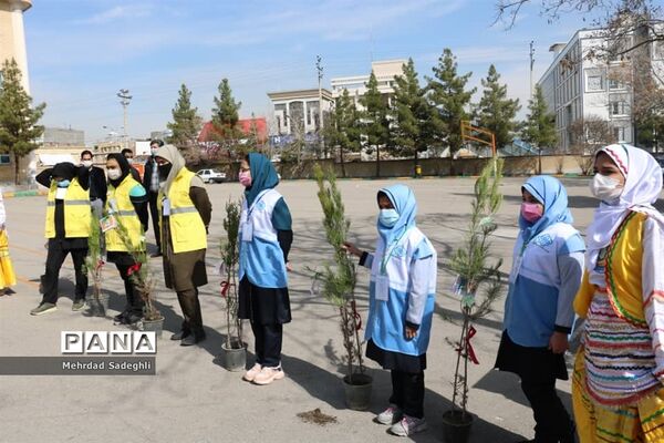 همایش استانی درختکاری توسط دانش آموزان ساعی در طرح ملی کوچ