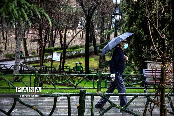 تهران بارانی در آخرین روزهای سال