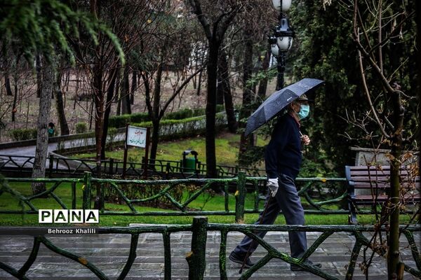 تهران بارانی در آخرین روزهای سال