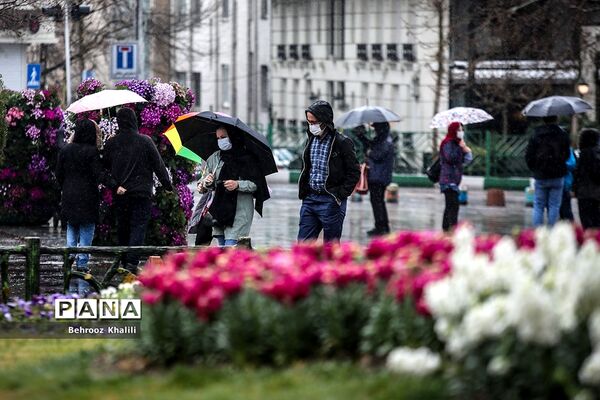 تهران بارانی در آخرین روزهای سال