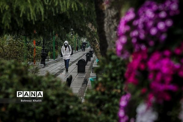 تهران بارانی در آخرین روزهای سال