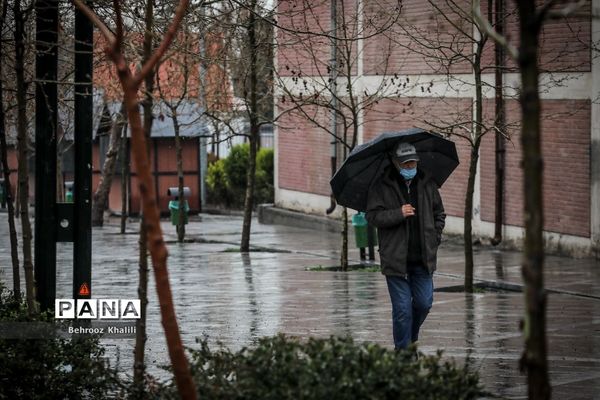 تهران بارانی در آخرین روزهای سال