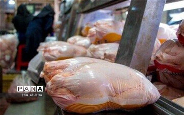 ابلاغ ممنوعیت صادرات مرغ به تمامی گمرکات اجرایی کشور