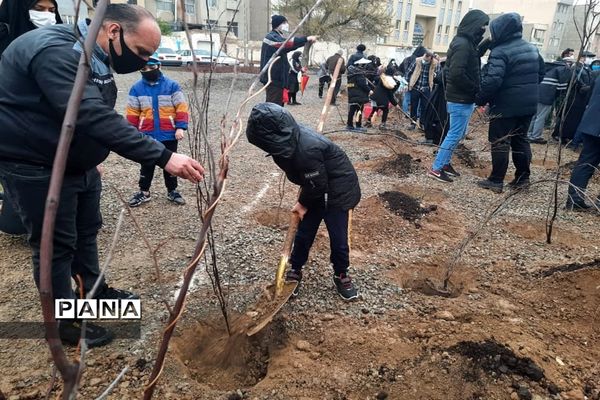 کاشت نهال ایثار به نیابت شهدا در روز شهدا