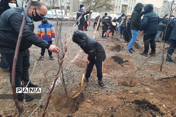 کاشت نهال ایثار به نیابت شهدا در روز شهدا