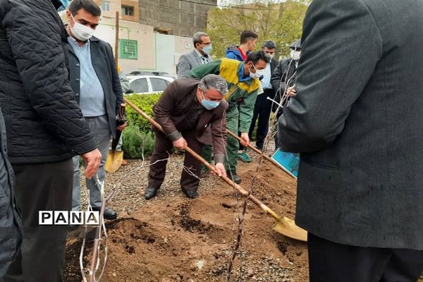 کاشت نهال ایثار به نیابت شهدا در روز شهدا