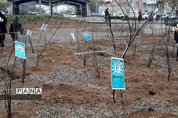 کاشت نهال ایثار به نیابت شهدا در روز شهدا