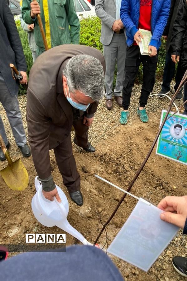 کاشت نهال ایثار به نیابت شهدا در روز شهدا