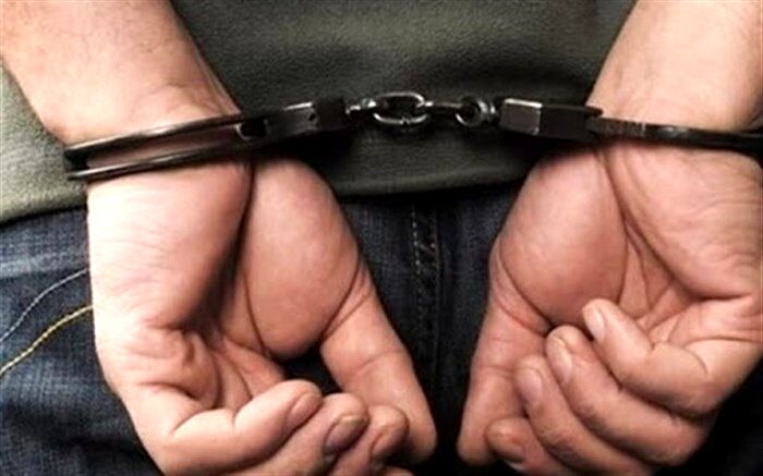 دستگیری عامل فروش سلاح و مهمات جنگی در فضای مجازی