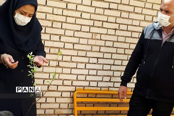 غرس نهال در هنرستان ایثار ناحیه یک شهرری به مناسبت هفته منابع طبیعی
