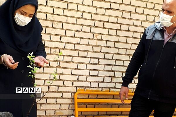 غرس نهال در هنرستان ایثار ناحیه یک شهرری به مناسبت هفته منابع طبیعی