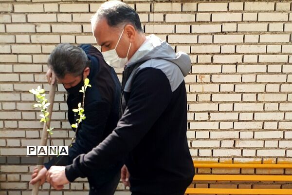 غرس نهال در هنرستان ایثار ناحیه یک شهرری به مناسبت هفته منابع طبیعی